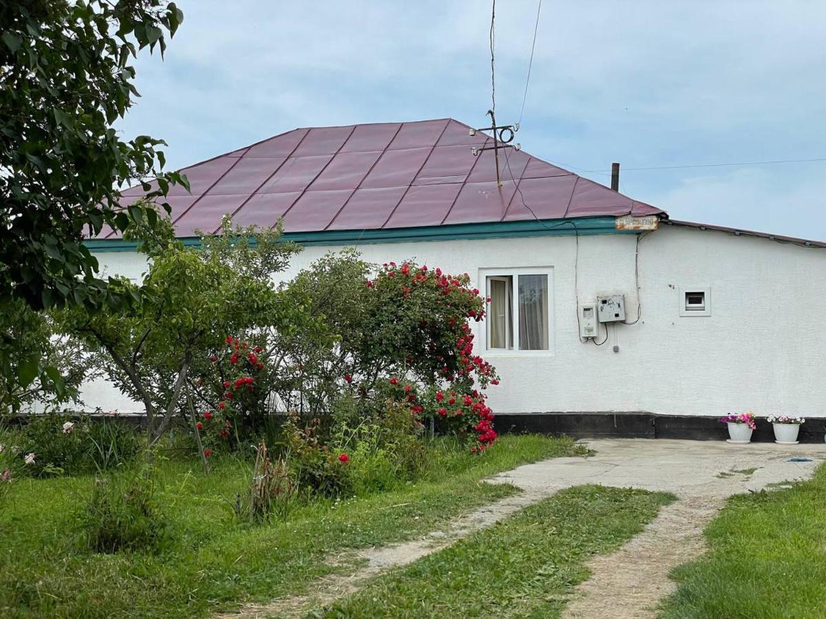 By River 246 Otel Karakol Dış mekan fotoğraf